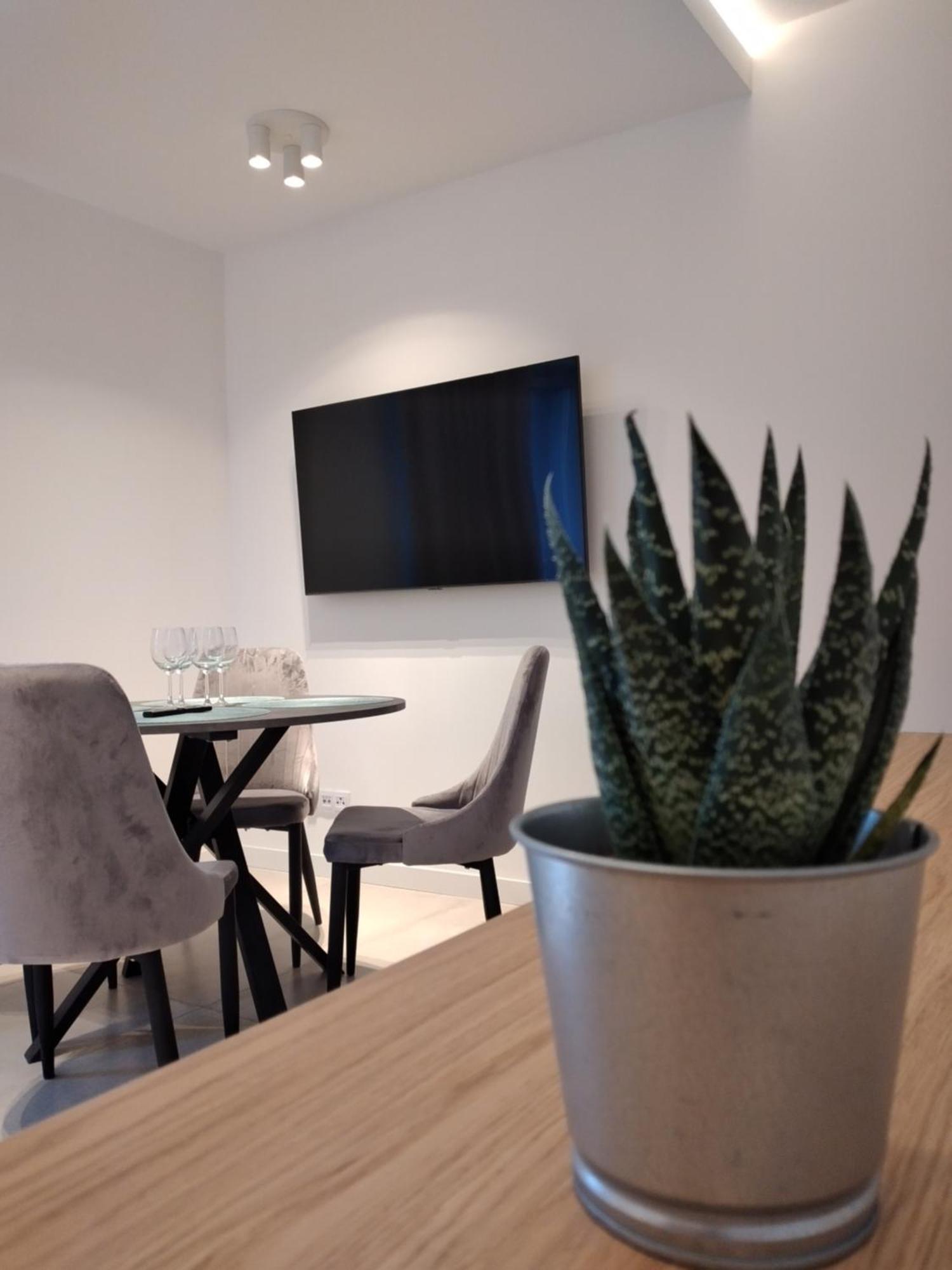 Apartament Zrodlana Ski 300M Świeradów-Zdrój Esterno foto